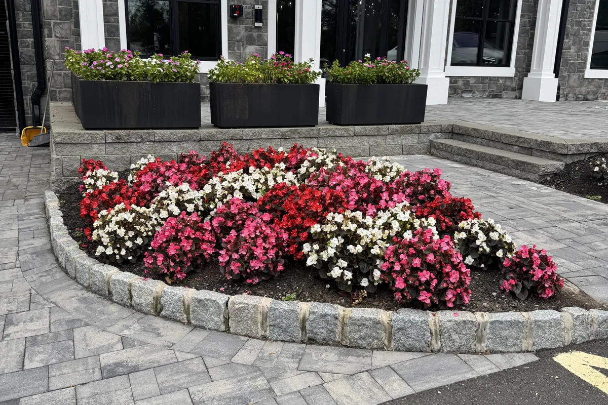 Seasonal flower bed planted by PTB Landscape Management in Somerset County NJ