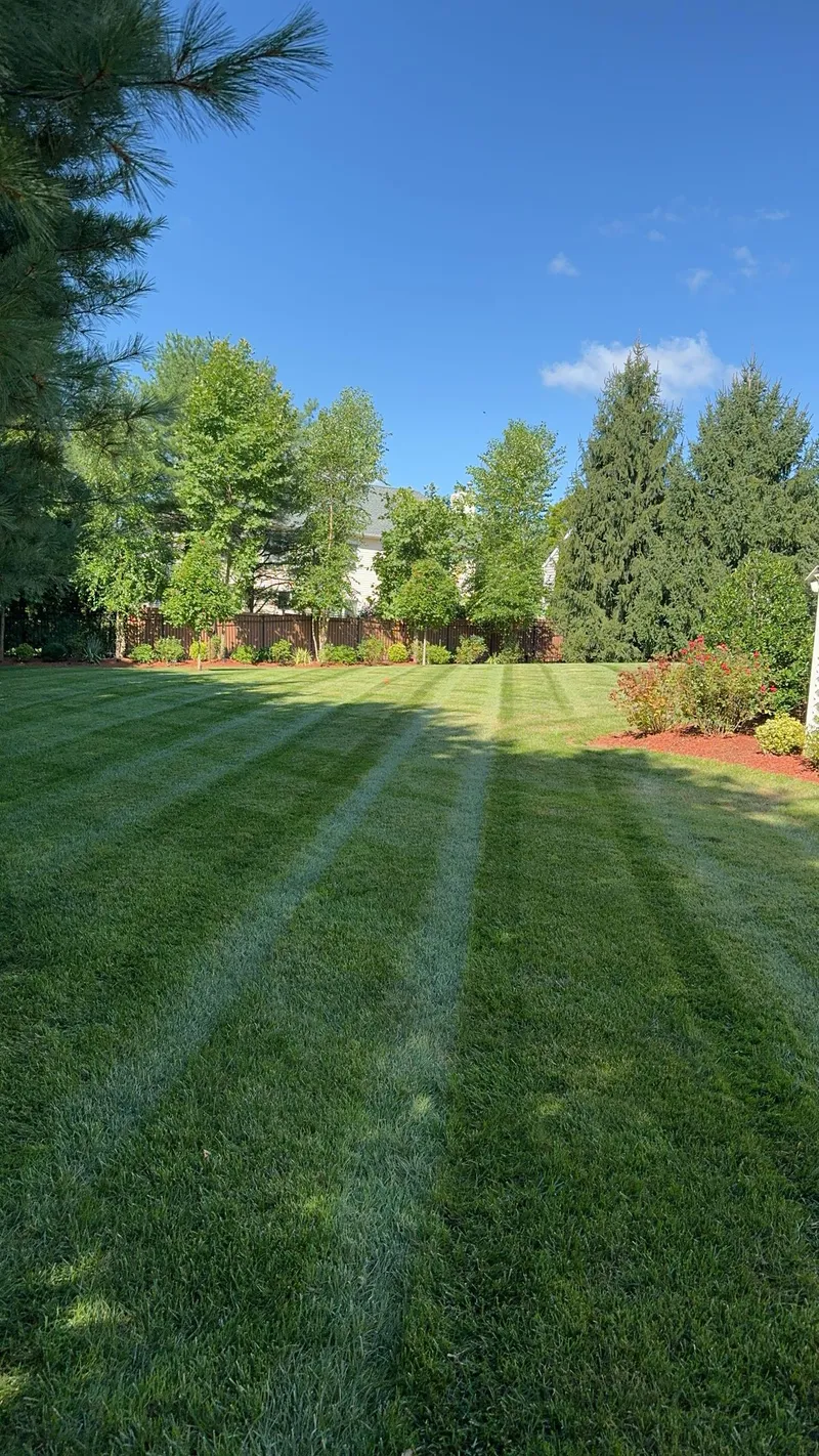 Professionally striped lawn by PTB Landscape Management